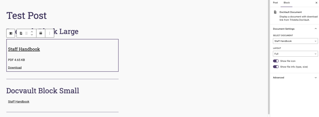 DocVault Gutenberg block editor view