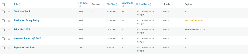DocVault admin Documents list with file type, version, size, downloads and expiry columns
