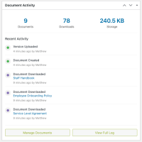 The Document Activity widget — document count, downloads, storage, and recent activity visible from your WordPress dashboard.