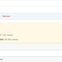 DocVault Pro detecting a possible duplicate on upload and offering to add the file as a new version