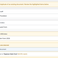 DocVault Pro bulk upload queue with a possible duplicate flagged